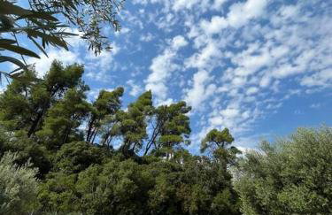 Paralia Homes cheerful 2 bedroom with pool, unit #1 - Foto 48