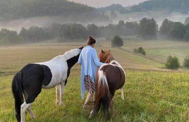 Happy Horse Sosnowa Góra - Foto 1