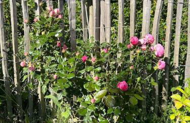 Cottage normand - charme et authenticité - Foto 38