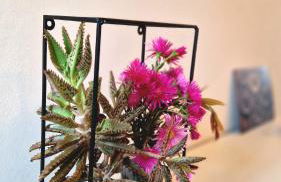 Apartment in Sardinia Sol y Luna 11 - Foto 18