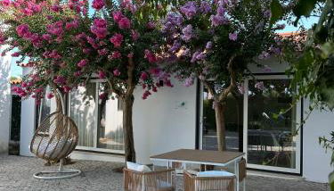 Horta dos Cedros - Foto 5