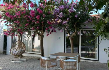 Horta dos Cedros - Foto 5