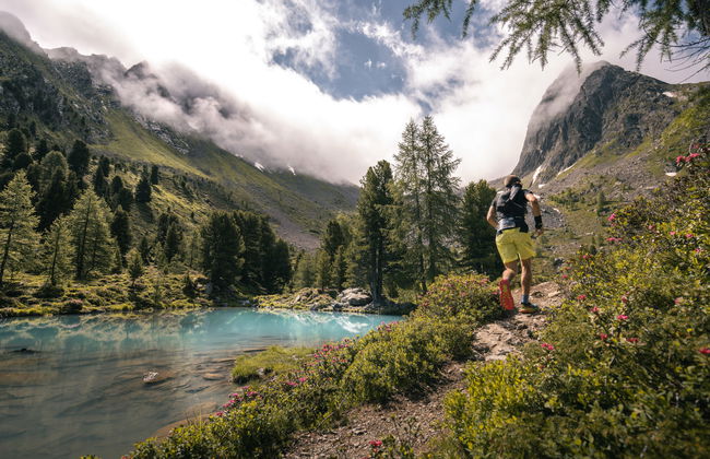 Apart Sonja - Foto 26