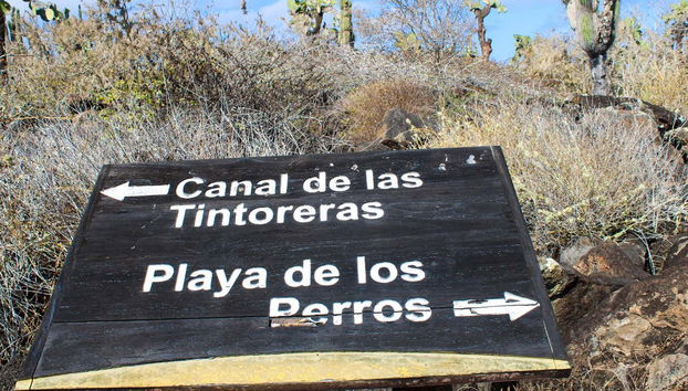 Profitez de la balade