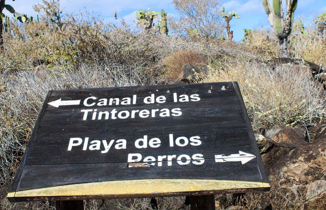 Santa Cruz Island Boat Tour - Photo 2