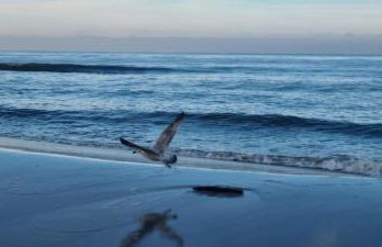 Leśna Przystań Rumia - obok Gdyni i Aquaparku Reda - Foto 80