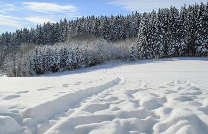 Maier Chalet - Foto 16