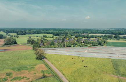 Romantik Studio - Cozy - Stylisch - Naturnah - Foto 28