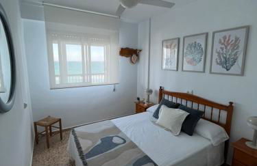 Caballito de Mar - Foto 16