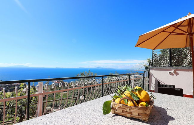 La Grazia di Totò - Foto 4