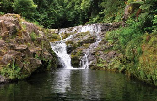 Green Sunrise House - Photo 69