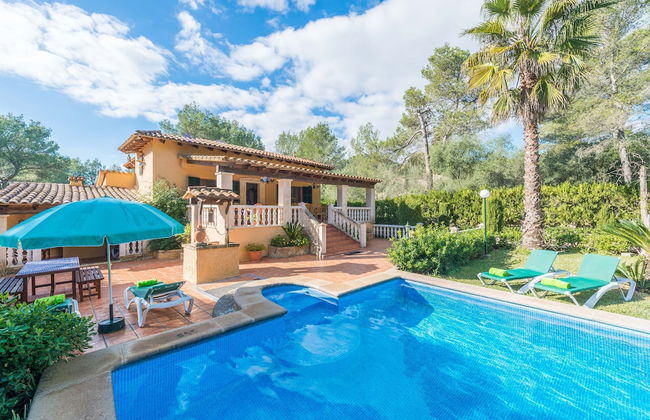 Els Pins in Sa Pobla - Foto 25