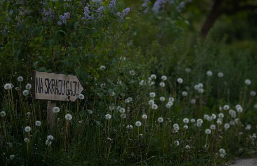 Na skraju gaju - Foto 31