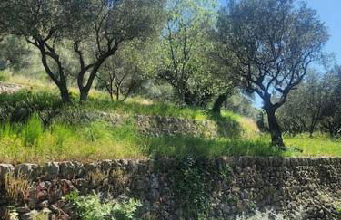 Le Mas Les Salamandres - Foto 27