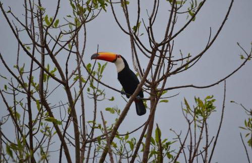 Casa poesia vista maravilhosa em Gonçalves-MG - Foto 53