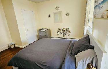 Apartments near Whole Foods, Brown University, Miriam, Downtown - Photo 6