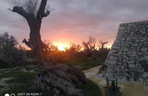 La Nicchia-Trullo - Foto 4