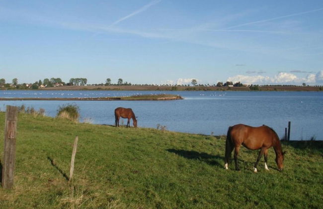 Boutique Bungalow in Insel Poel With Terrace - Photo 57