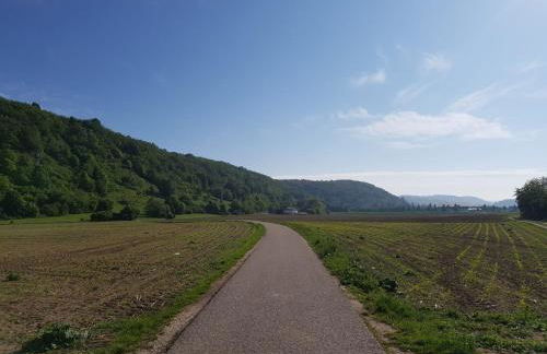 Walhalla-Apartment - Highspeed WLAN - Netflix - Südbalkon - Foto 41