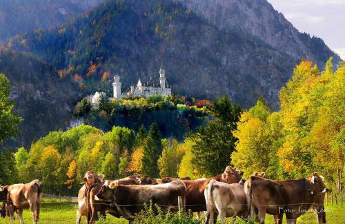 Ferienwohnung Immenberg - Foto 45