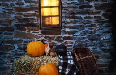 Casa de Campo dos Távoras - Foto 55