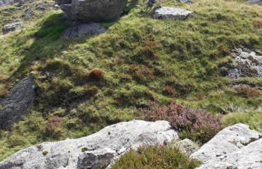 Bryn Elltyd Eco House - Foto 80