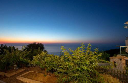 Natura Villas - Photo 41