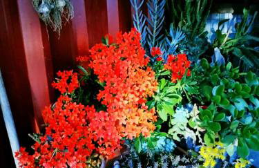 Seaside Villa Adam's Holiday House 2019 - Foto 19