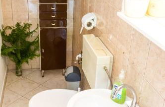 Forest Escape - Foto 37