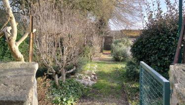 Saturne - Foto 3, Garden