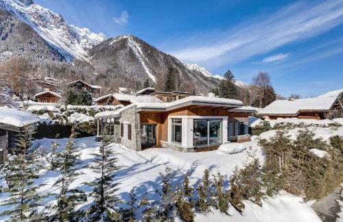 Chalet Safari. Face au Mont-Blanc. - Foto 37