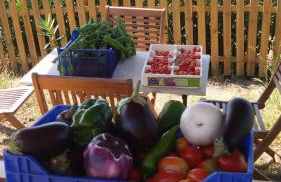 Poggio al Tesoro Crespina Pisa - Foto 12