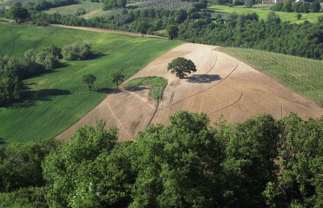Historic Castle With View - Photo 39