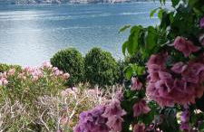 Villa Emma - Foto 39