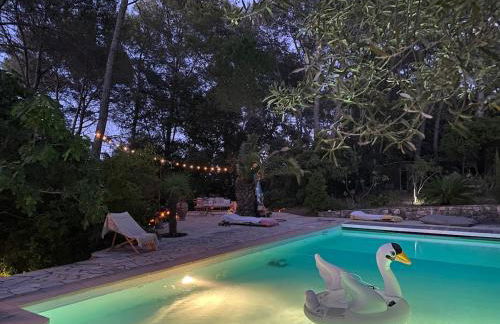 Villa Claudia Domaine les Palmiers - Foto 61