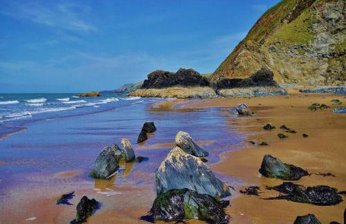 Cwtch Ffynnone Luxury Shepherds Hut - Foto 26