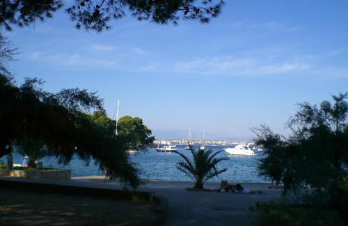 Apartmani Misic - Foto 42