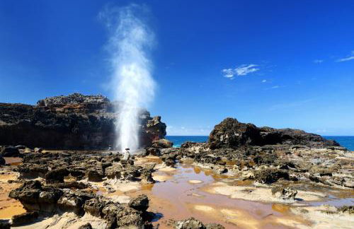 Beautiful Condo at Kihei Ali'i Kai, Close to Beach - Foto 122