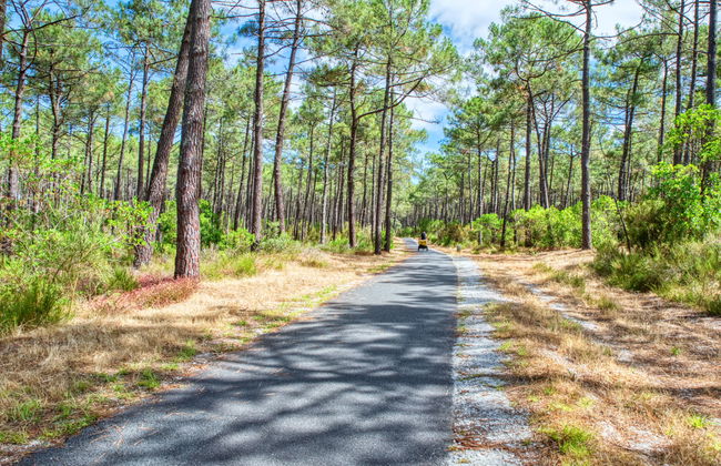 Club de la Voile - Foto 33