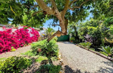 Historic house 5 minutes walk from the beach - Foto 40