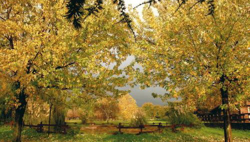 Agriturismo Monte Due Torri - Foto 5, Garden