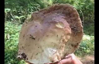 LA CASA DI SURI - Photo 46