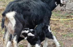 Casa Barbóla - Photo 80