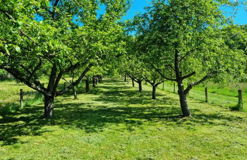 Gästehaus Iwwerdorfer Hof - Photo 18