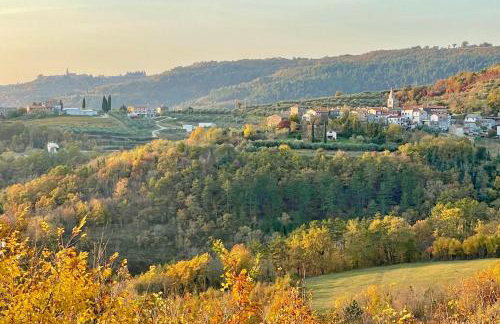 Bolara 60: the Cottage - Foto 46