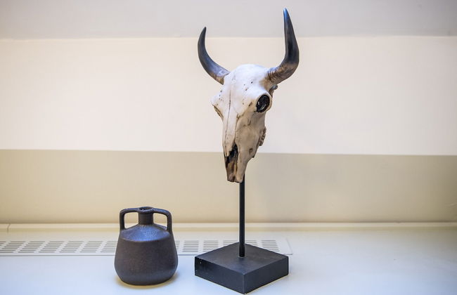 Kings Garden 1 by Daniel&Jacob’s - Foto 41