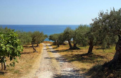 Tenuta Petreria - Foto 1