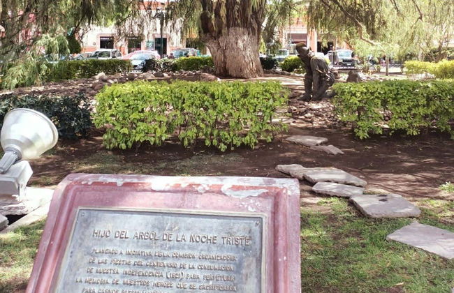 Mexican Independence Tour of Guanajuato - Foto 3