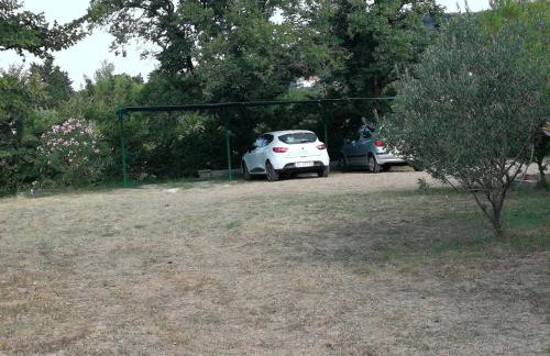 Apartment Tea - Photo 16