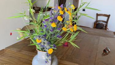 Casa Aldo nel cuore della Toscana - Foto 5